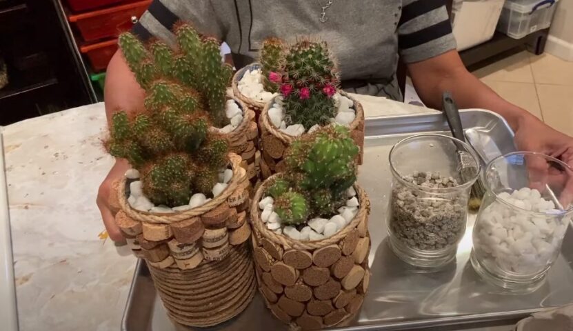 Cork Planters